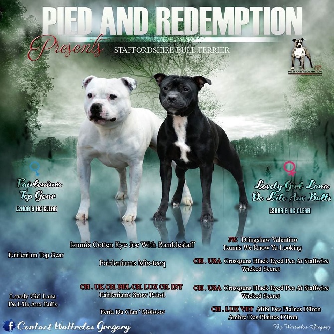 Pied And Redemption -                    Stig & Lana